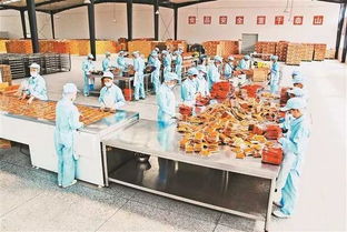 重慶日報(bào)鄉(xiāng)村振興周刊 重慶農(nóng)產(chǎn)品加工業(yè)如何走上 快車道