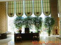 【重慶榕樹盆景】價格、產品供應,重慶榕樹盆景廠家批發列表2-1024商務網