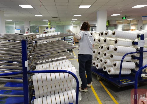 走進區(qū)域看發(fā)展丨川渝向 新 而行 新材料產(chǎn)業(yè)跑出 加速度